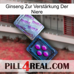 Ginseng Zur Verstärkung Der Niere 37